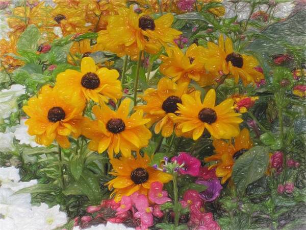Flowers Art Print featuring the painting Black-eyed Susans in the Garden by Renette Coachman