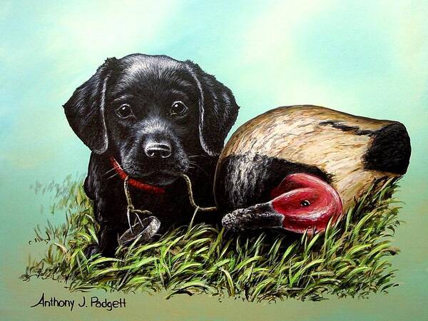 Black Lab Art Print featuring the painting Black Lab Pup by Anthony J Padgett