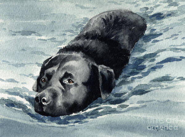 Black Lab Art Print featuring the painting Black Lab Swimming by David Rogers