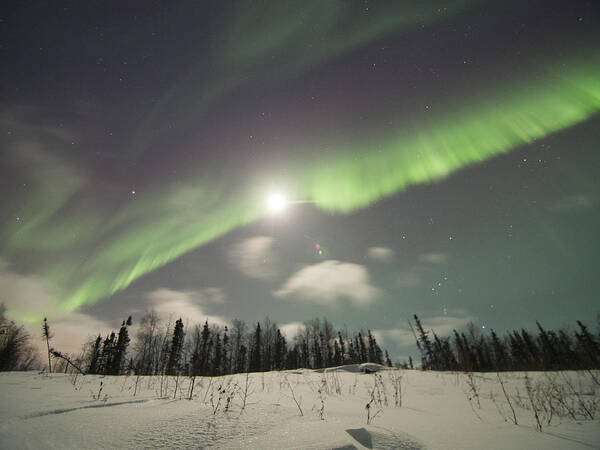 Aurora Borealis Art Print featuring the photograph Block the Moon by Ian Johnson