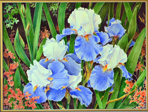 Irises Art Print featuring the painting Blue And White Irises by Colleen Marquis