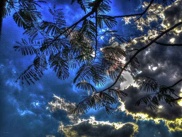 Blue Yellow Sky Dramatic Cloud Sao Paulo Brazil Art Print featuring the photograph Blue and Yellow Skies by Ross Henton