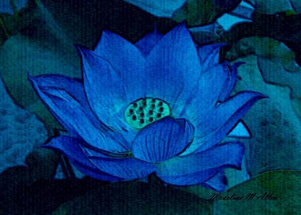 Smudgeart Art Print featuring the digital art Blue Lotus by Madeline Allen - SmudgeArt