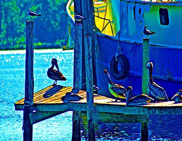 Water Art Print featuring the painting Blue Pelicans by Michael Thomas
