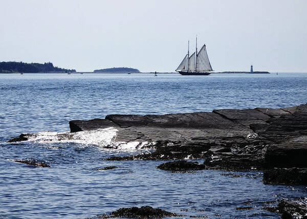 Seascape Art Print featuring the photograph Bluenose II in Halifax Harbour by Celtic Artist Angela Dawn MacKay
