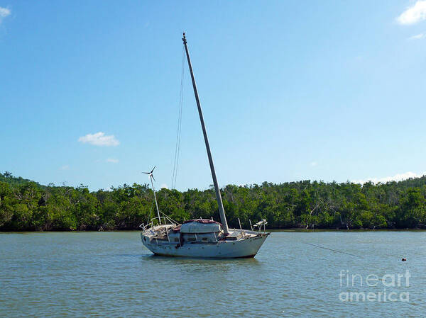 Photography Art Print featuring the photograph Boat and Island by Francesca Mackenney