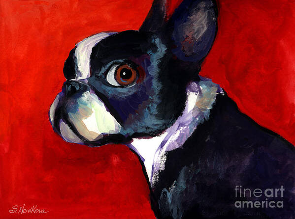 Boston Terrier Art Print featuring the painting Boston Terrier dog portrait 2 by Svetlana Novikova