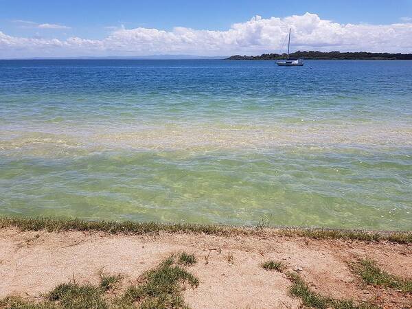 Bribie Island Art Print featuring the photograph Bribie Ocean by Cassy Allsworth