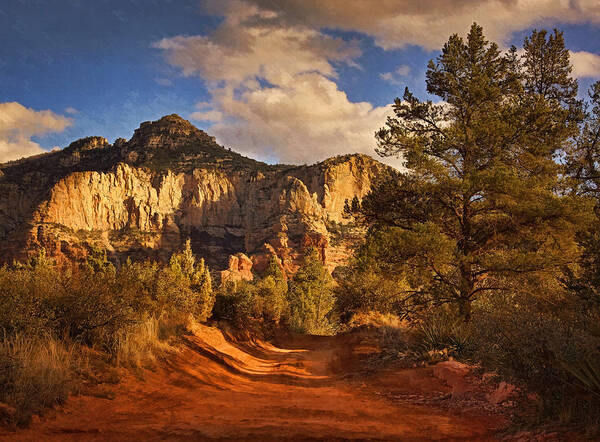 Broken Arrow Trail Art Print featuring the photograph Broken Arrow Trail Pnt by Theo O'Connor