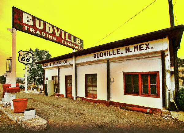 Budville Art Print featuring the photograph Budville by Micah Offman