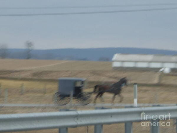 Amish Art Print featuring the photograph Buggy Ride Three by Christine Clark