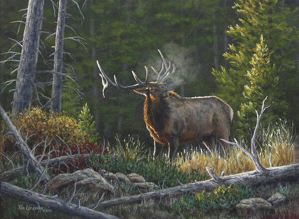 Elk Art Print featuring the painting Bugling Bull by Kim Lockman