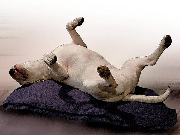 English Bull Terrier Art Print featuring the mixed media Bull Terrier Dreams by Michael Tompsett