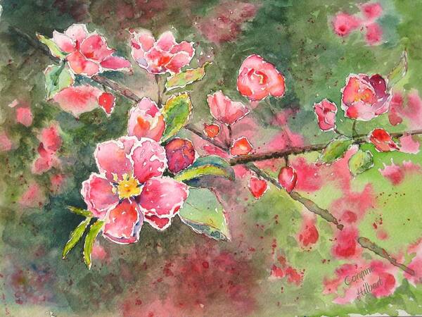 Blossoms Art Print featuring the painting Burst of Spring by Corynne Hilbert