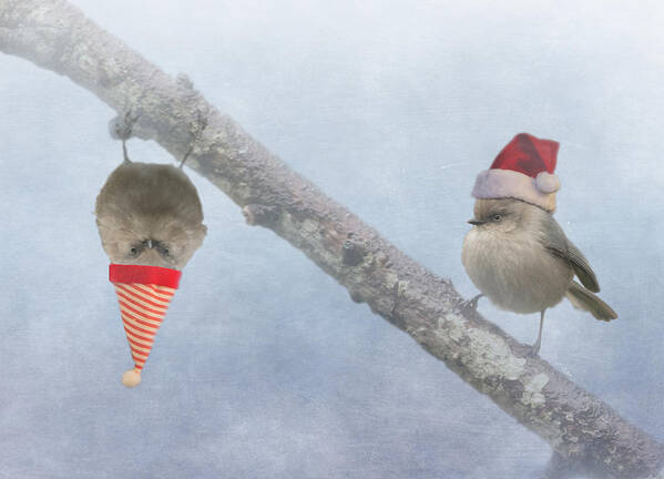 Birds Art Print featuring the photograph Bushtit Holidays by Angie Vogel