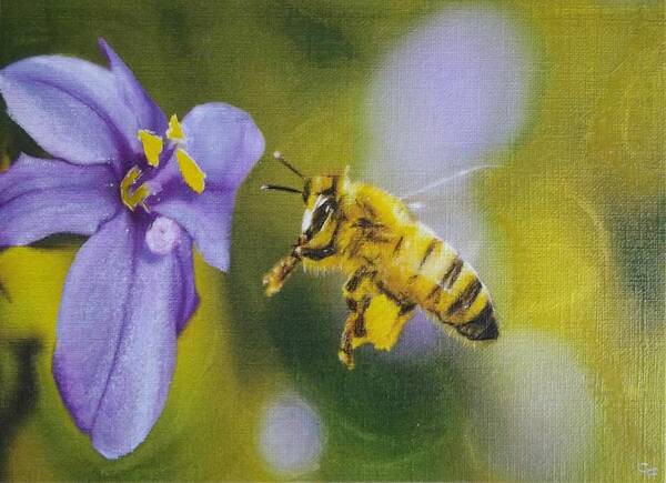 Honey Bee Art Print featuring the mixed media Busy Bee by Cara Frafjord