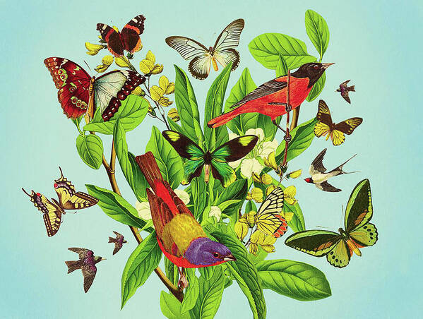 No People Art Print featuring the drawing Butterflies and birds on plant and flower stem by Mark Weaver
