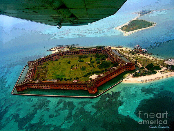 Tortugas Art Print featuring the photograph Buzzing the Dry Tortugas by Susan Vineyard