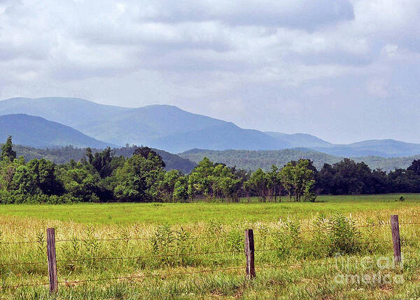 Cove Art Print featuring the photograph Cades Cove 3 by Lydia Holly