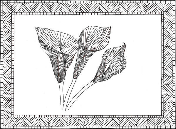 Calla Lilly Flower Nature Zentangle Art Print featuring the drawing Calla Lilly by Sharon White