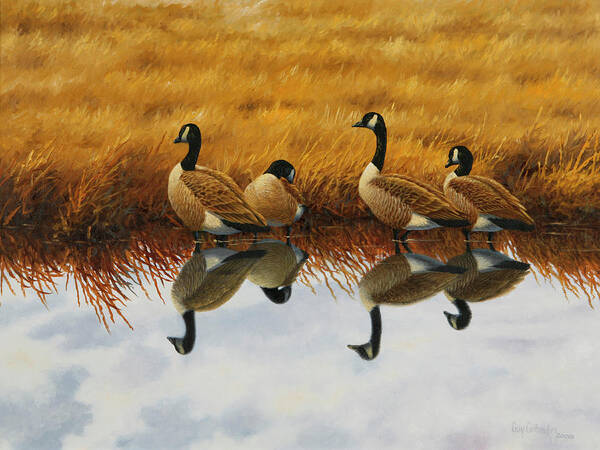 Canada Geese Art Print featuring the painting Calm Creek Canada Geese by Guy Crittenden