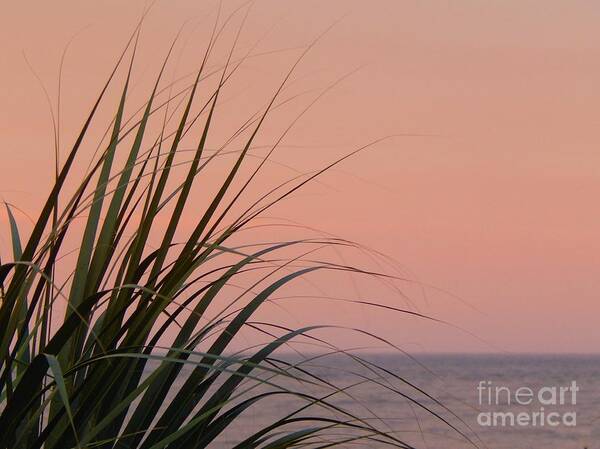 Ocean Sky Sea Seagrass Flora Seascape Horizon Green Pink Grey Nature Location Travel Coast South Southern Coastline Golden Isles Art Print featuring the photograph Calmness OF The Sea by Jan Gelders