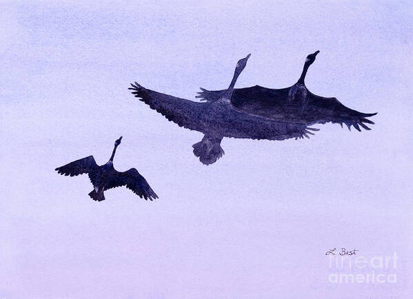 Canada Art Print featuring the painting Canadian Geese by Laurel Best
