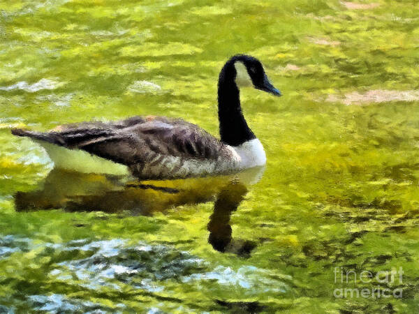 Candadian Goose Oil Pastel Art Print featuring the photograph Canadian Goose oil pastel by Elizabeth Dow