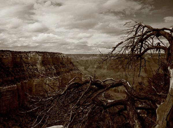 Grand Canyon Art Print featuring the photograph Canyon Black and White by Christopher J Kirby