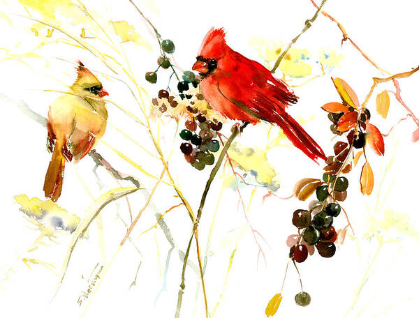 Cardinal Bird Art Print featuring the painting Cardinal Birds and Berries by Suren Nersisyan