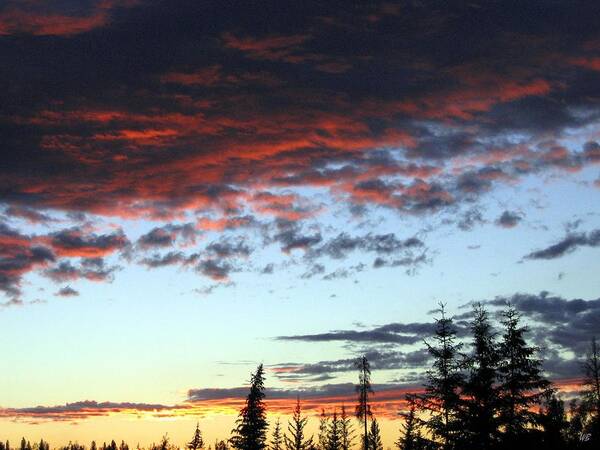 Cariboo Country Sunset Art Print featuring the photograph Cariboo Country Sunset  by Will Borden