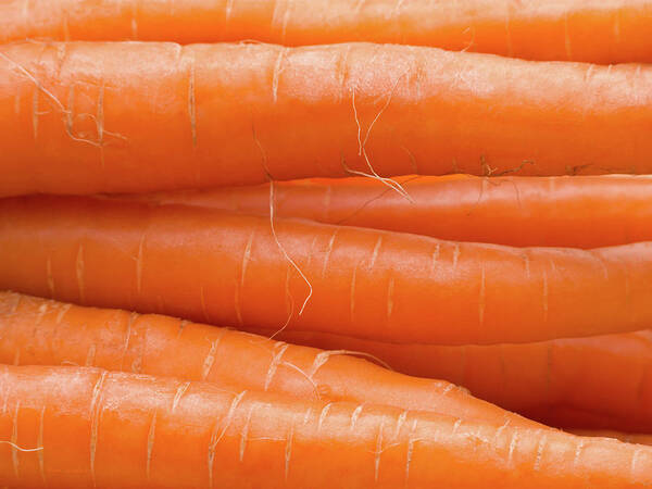 Carrots Art Print featuring the photograph Carrots by Wim Lanclus