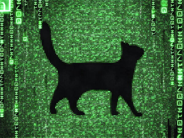 Cat Art Print featuring the digital art Cat in the Matrix black and green by Matthias Hauser