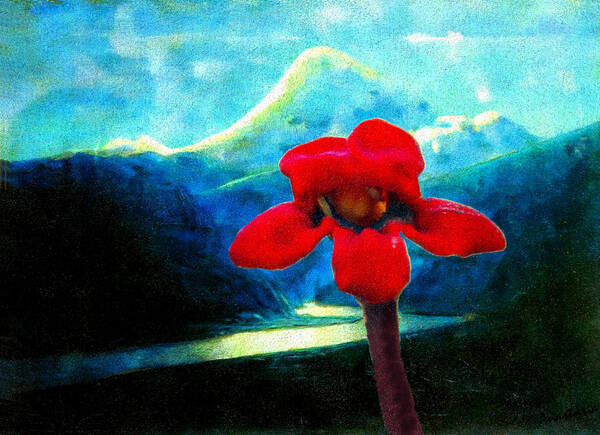 Red Flower Art Print featuring the photograph Caucasus Love Flower II by Anastasia Savage Ealy