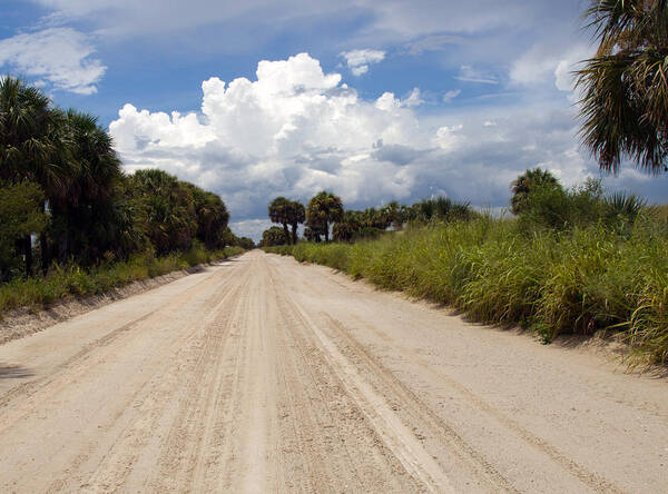 Florida; Road; Back; Backroad; Central; Dirt; Plow; Plowed; Clay; Mud; Muddy; Places; Unknown; Trave Art Print featuring the photograph Central Florida Back Road by Allan Hughes