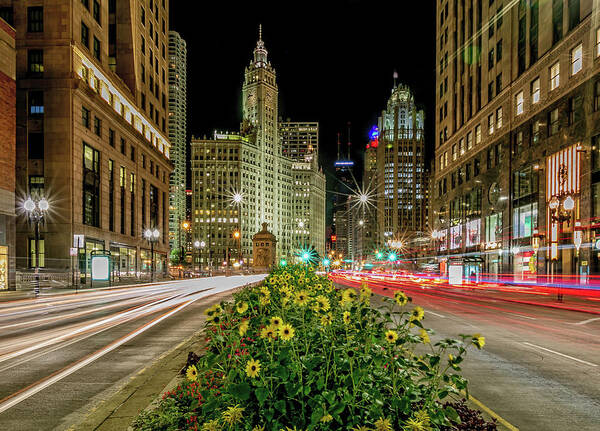 Chicago Art Print featuring the photograph Chicago Stars by Lev Kaytsner