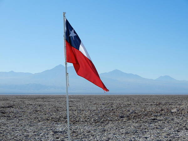 Chile Flag Art Print featuring the photograph Chilean flag by Cheryl Hoyle