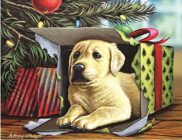 Yellow Lab Art Print featuring the painting Christmas Pup by Anthony J Padgett