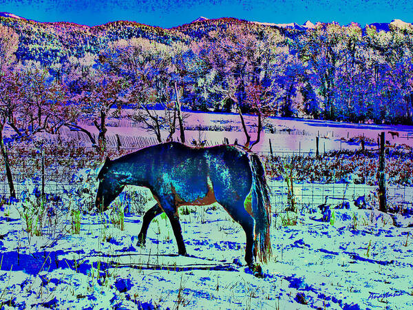 Horse In Snow Art Print featuring the photograph Christmas Roan El Valle IV by Anastasia Savage Ealy