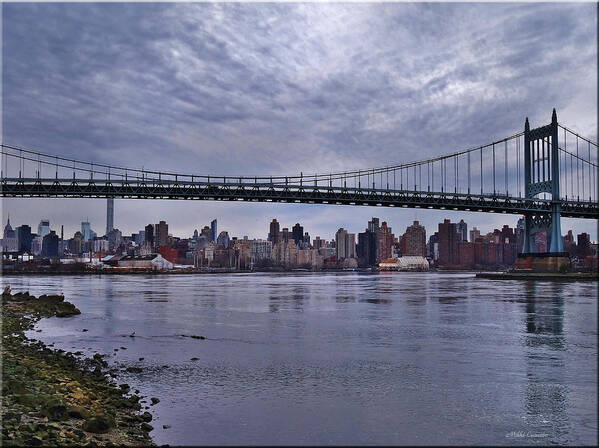 Cityscape Art Print featuring the photograph City Scape from Astoria Park by Mikki Cucuzzo