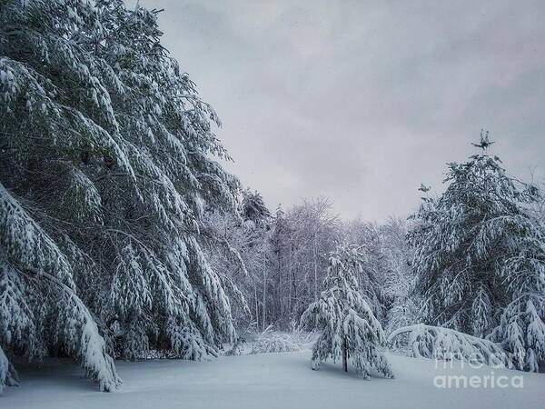 Landscape Art Print featuring the photograph Classic Winter Scene in New England by Mary Capriole