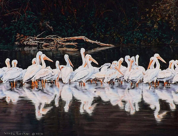 Pelicans Art Print featuring the pastel Clear Lake Pelicans by Linda Becker