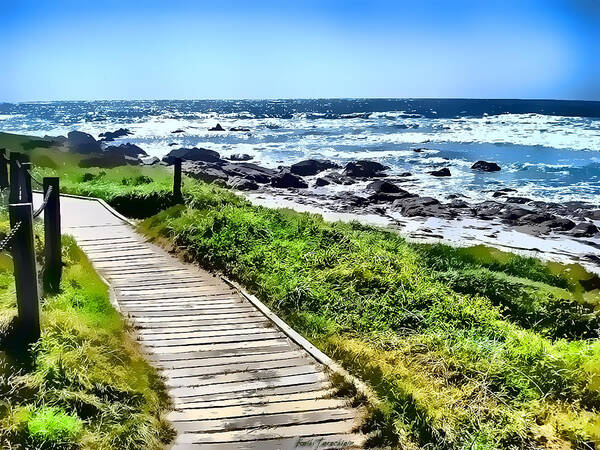 Pebble Beach Art Print featuring the photograph Coast Trail at Pebble Beach by Kathy Tarochione