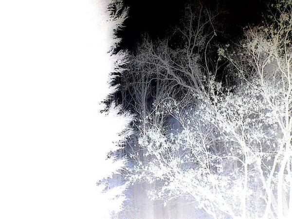 Tree Art Print featuring the photograph Cold And Light Drama by Andy Rhodes