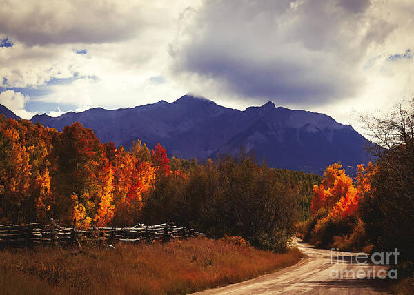 Lost Dollar Road Art Print featuring the painting Colorado Blazing Autumn by Janice Pariza