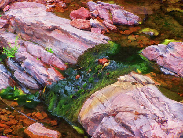 Home Decor Art Print featuring the painting Colorado Springs area Digital Oil #28 by Flees Photos