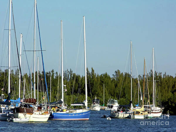 Dock Art Print featuring the photograph Colorful Boats In The Indian River Lagoon by D Hackett