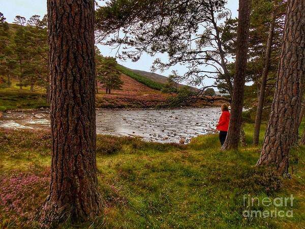 Scotland Art Print featuring the photograph Contemplation by Joan-Violet Stretch