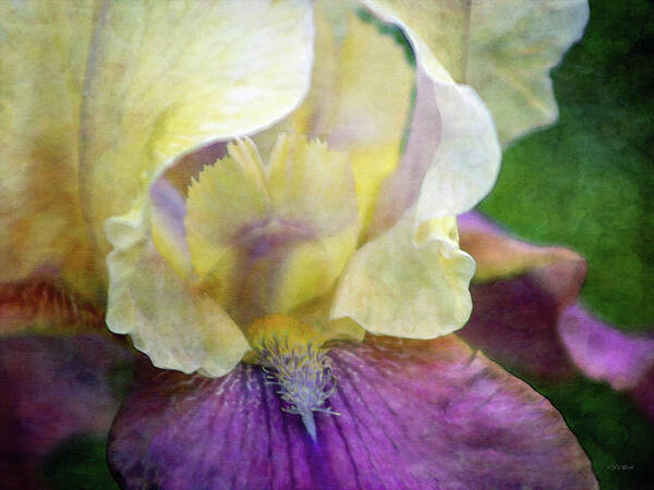 Impressionist Art Print featuring the photograph Cool Toned Purple Iris 0319 IDP_3 by Steven Ward