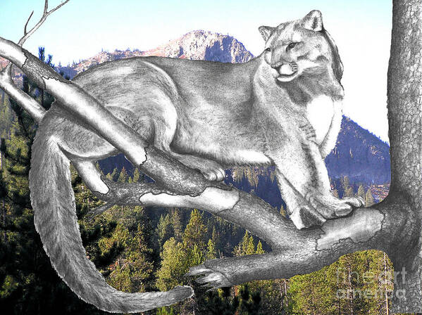 Photo Manipulation Art Print featuring the photograph Cougar Mountain by Russ Smith